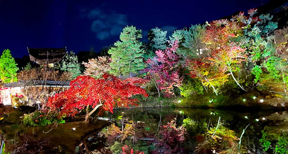 ＜写真：2023年 京都の紅葉＞